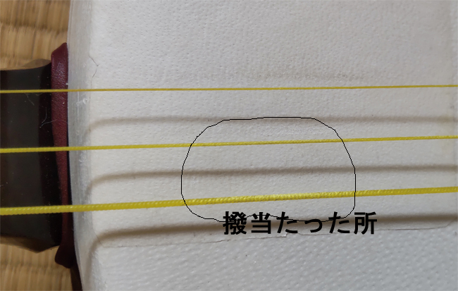糸毛羽の画像