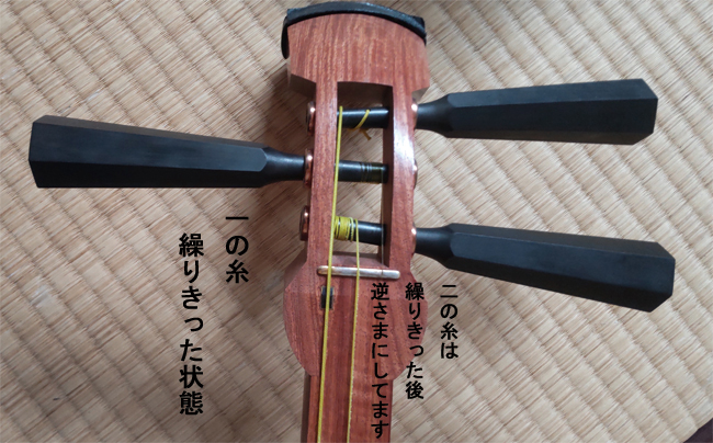 糸蔵の画像2
