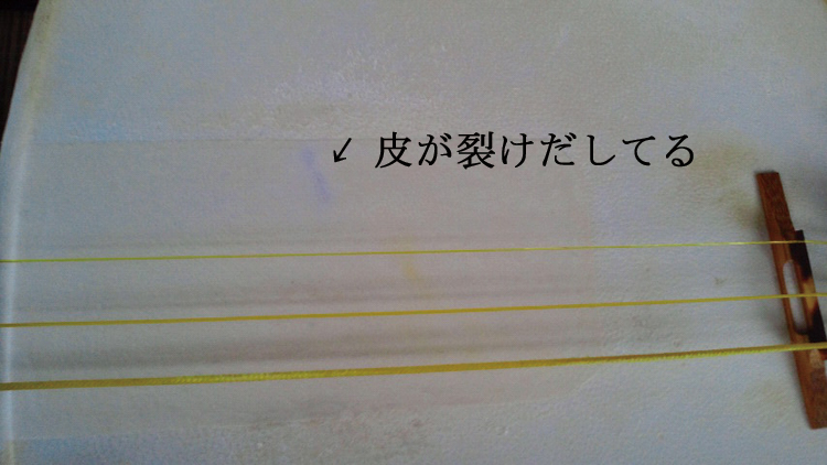 撥皮8